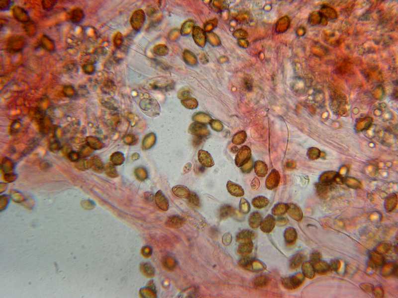 Uscita del 29/12/2004